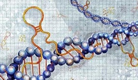 长沙浏阳艾碧维生物科技有限公司官网正式上线